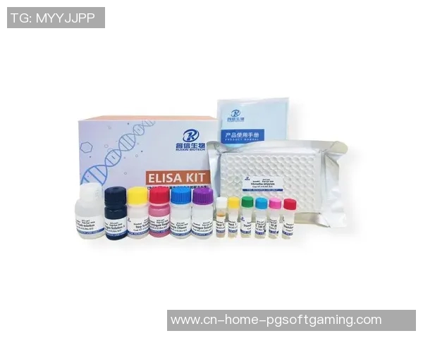 pg电子不错yb33丶me-探究pg电子不错yb33丶me的独特魅力-pg电子不错yb33丶me